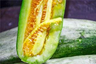 临沂吃瓜网红是谁啊,揭秘临沂地区热门吃瓜达人  第3张